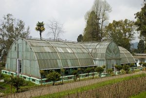 Lloyd Botanical Gardens