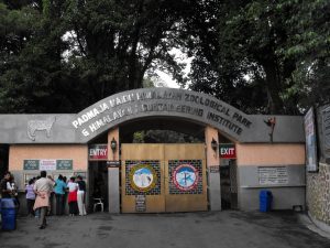 Padmaja Naidu Himalayan Zoo