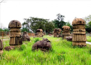 monoliths-of-kachari-kingdo_Main
