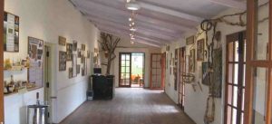 tribal-research-museum-bhubaneswar